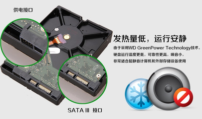 广州白云区翔腾信息咨询服务部提供的西部数据WD30EZRX 3TB绿盘报价与独家写真