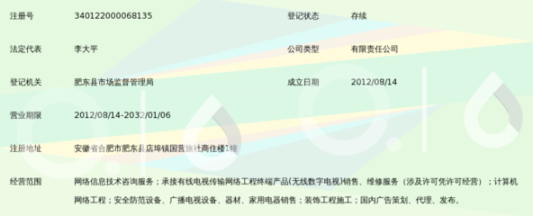 安徽智敏网络信息咨询